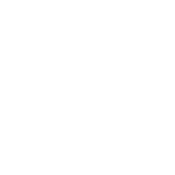 Palana Neurosync logo-01