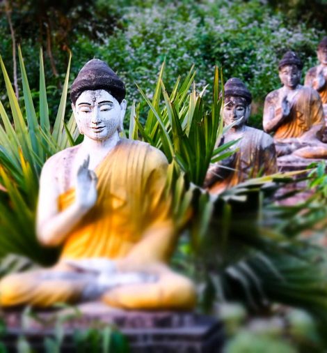 lot-buddhas-statues-in-loumani-buddha-garden-hpa-a-BMTR9H3.jpg
